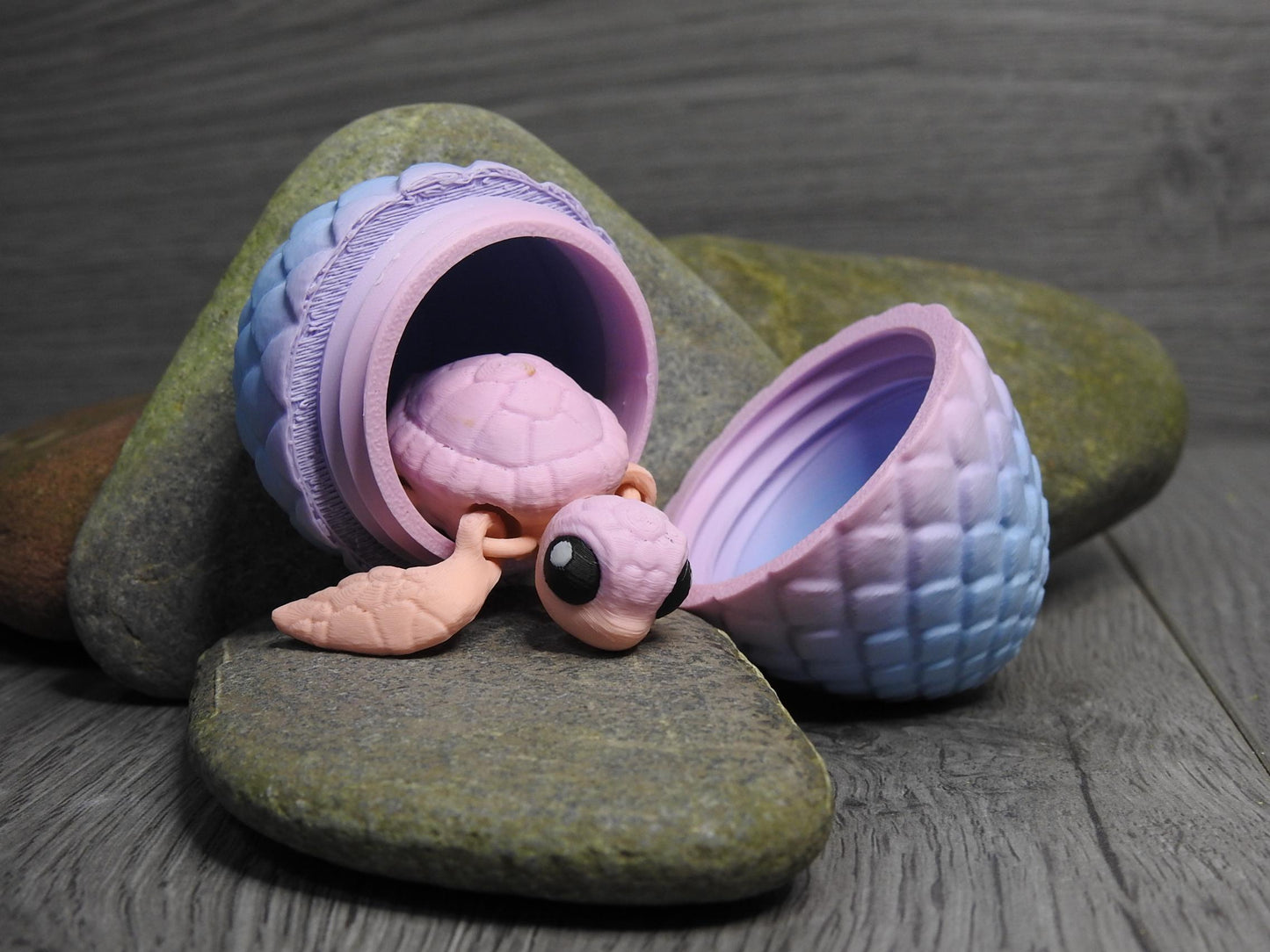 Cute Sea Turtle And Egg
