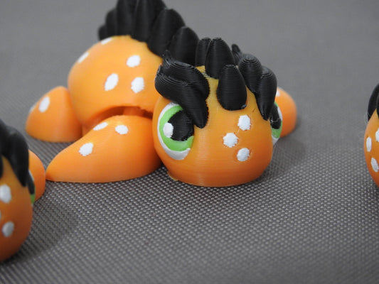 Baby Dragurtle turtle