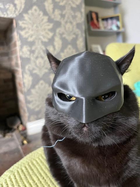 Batman Cat Mask