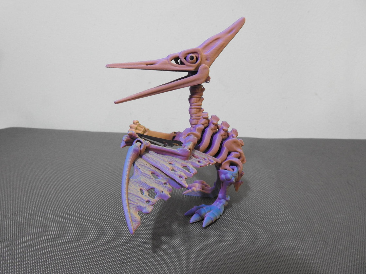 Skeleton Pteranodon Dino