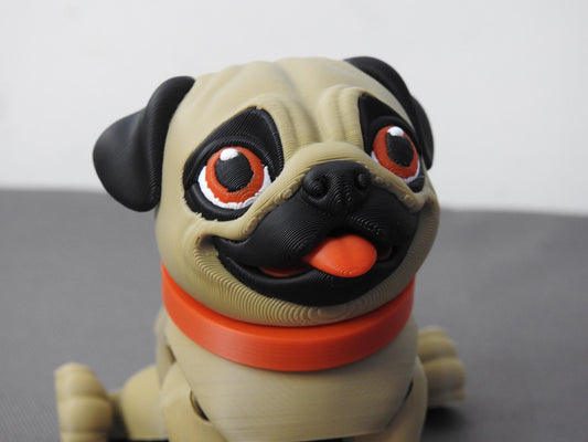 Cute Pug Dog