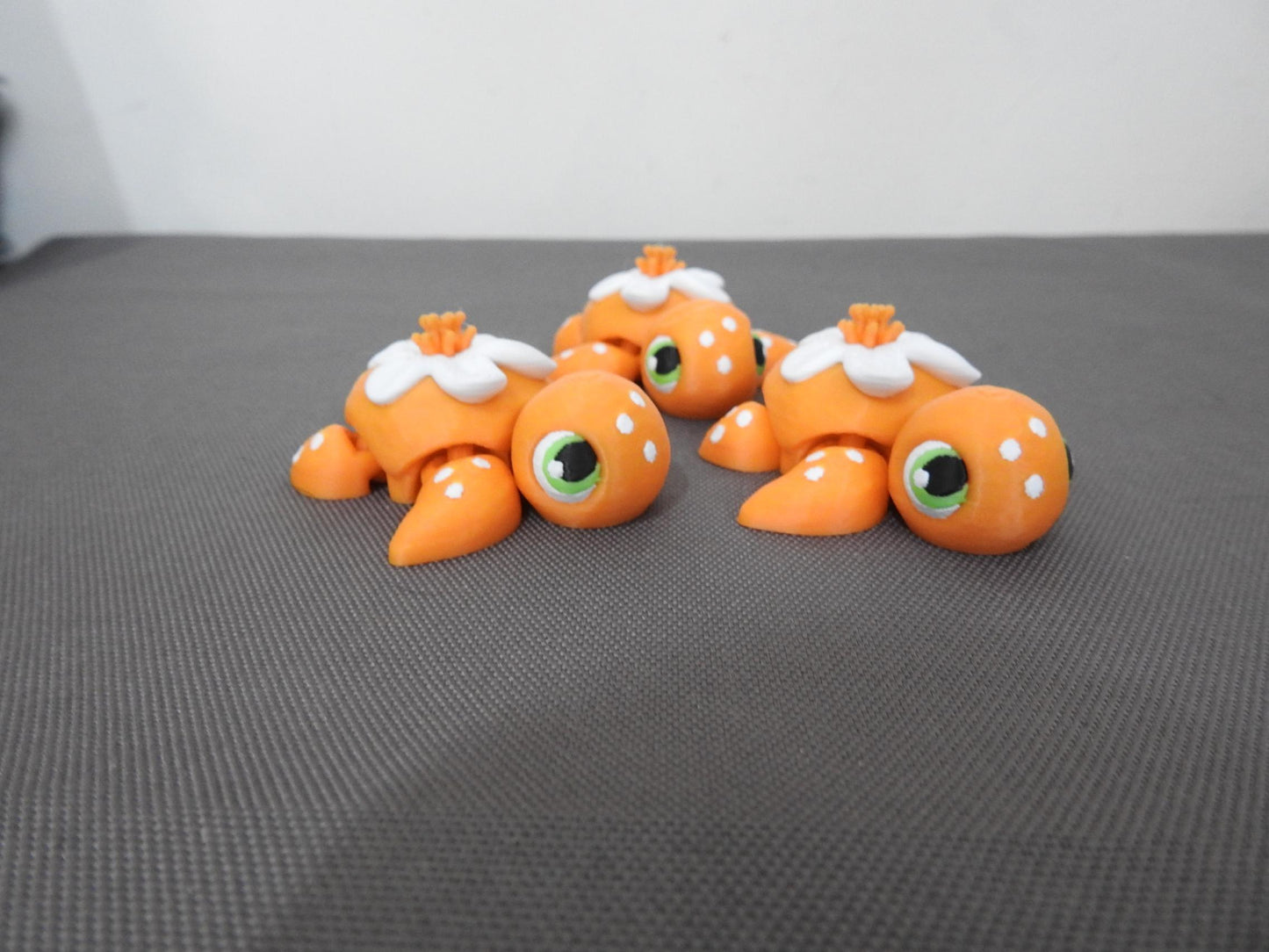 Baby Orange Blossom turtle