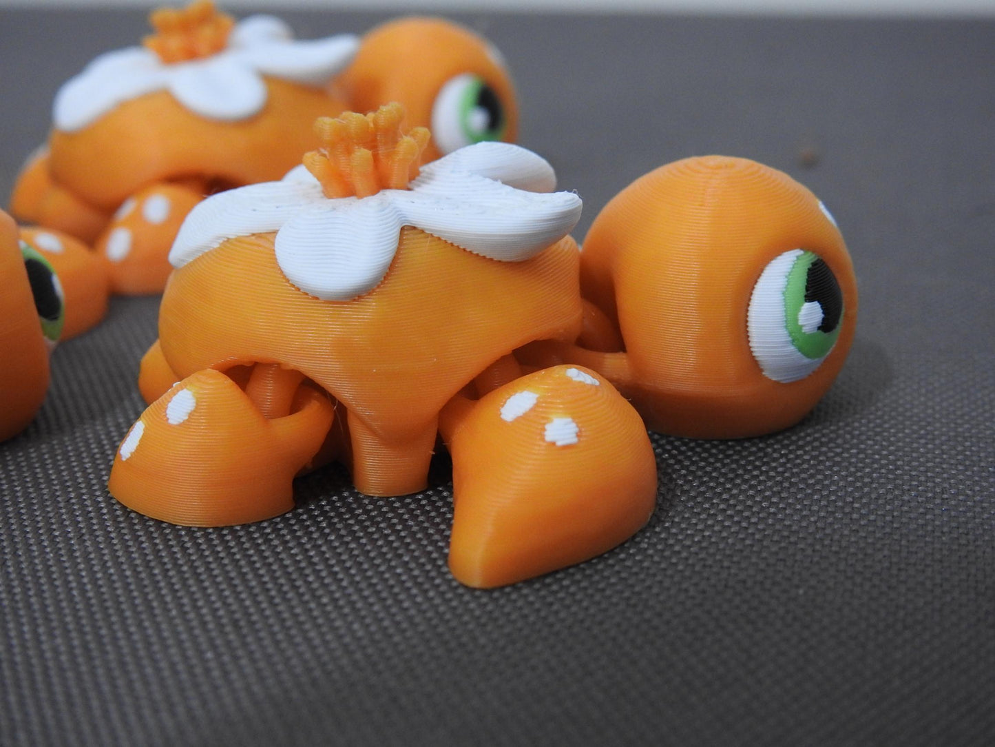 Baby Orange Blossom turtle