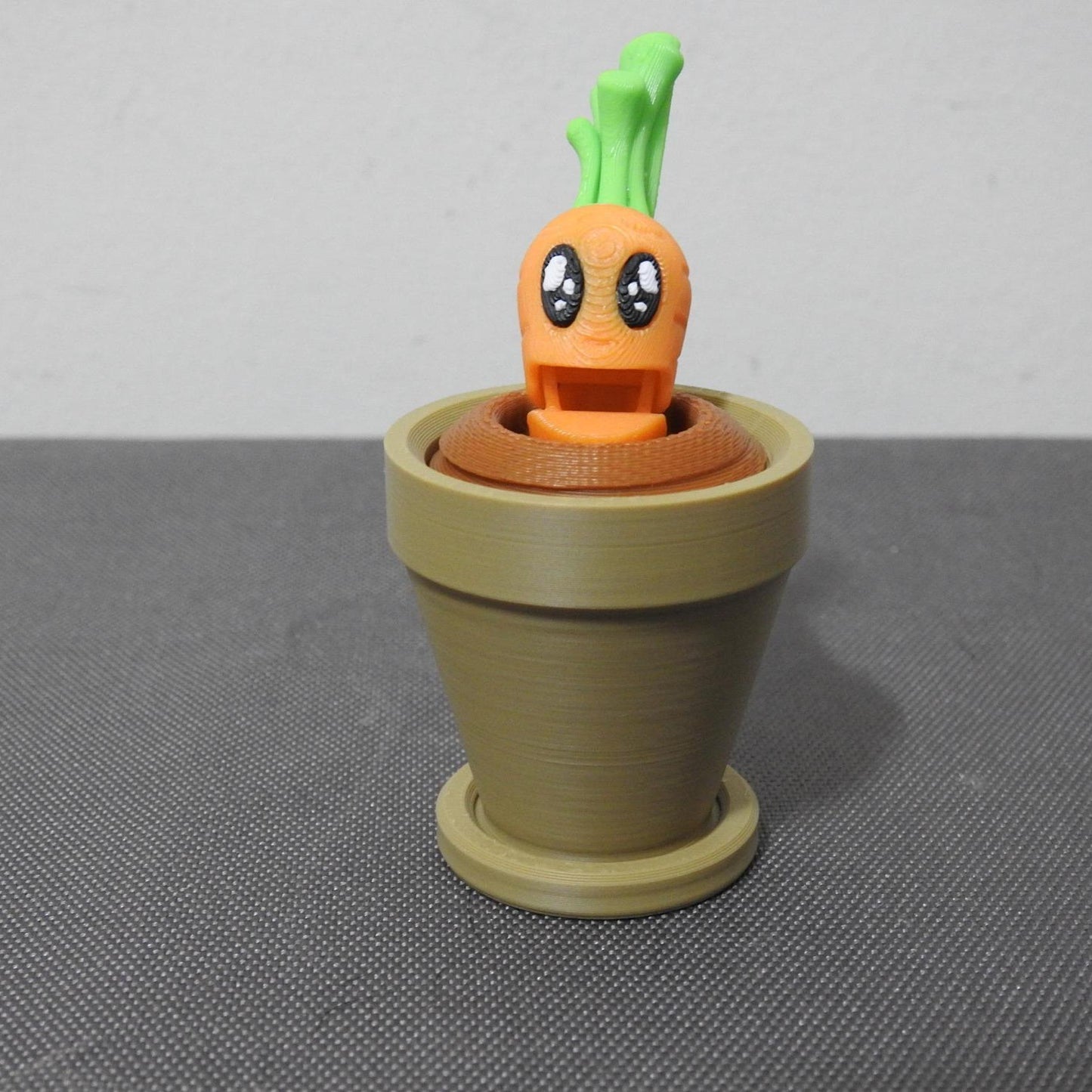 Carrot and Plantpot