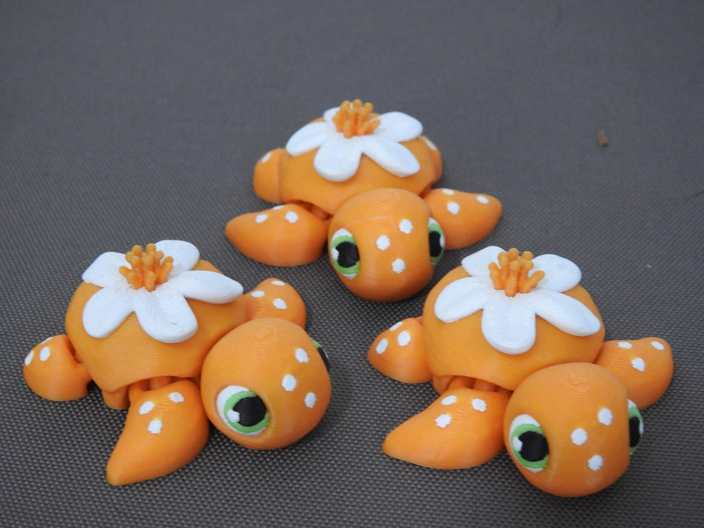 Baby Orange Blossom turtle
