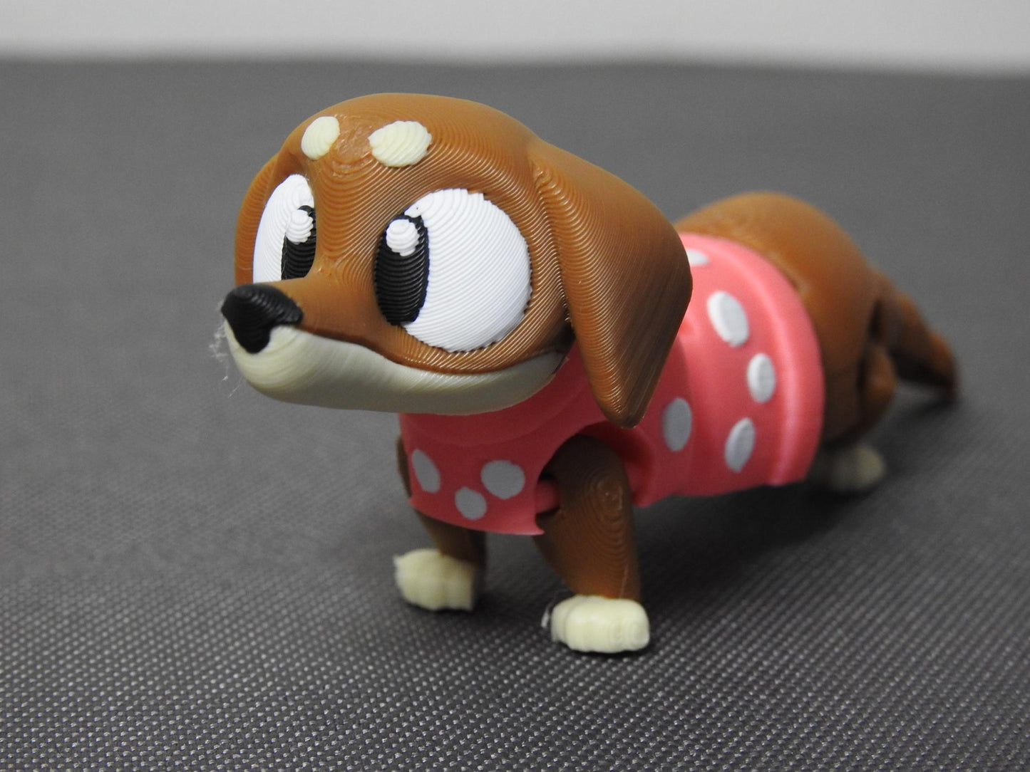 Cute Sausage Dog