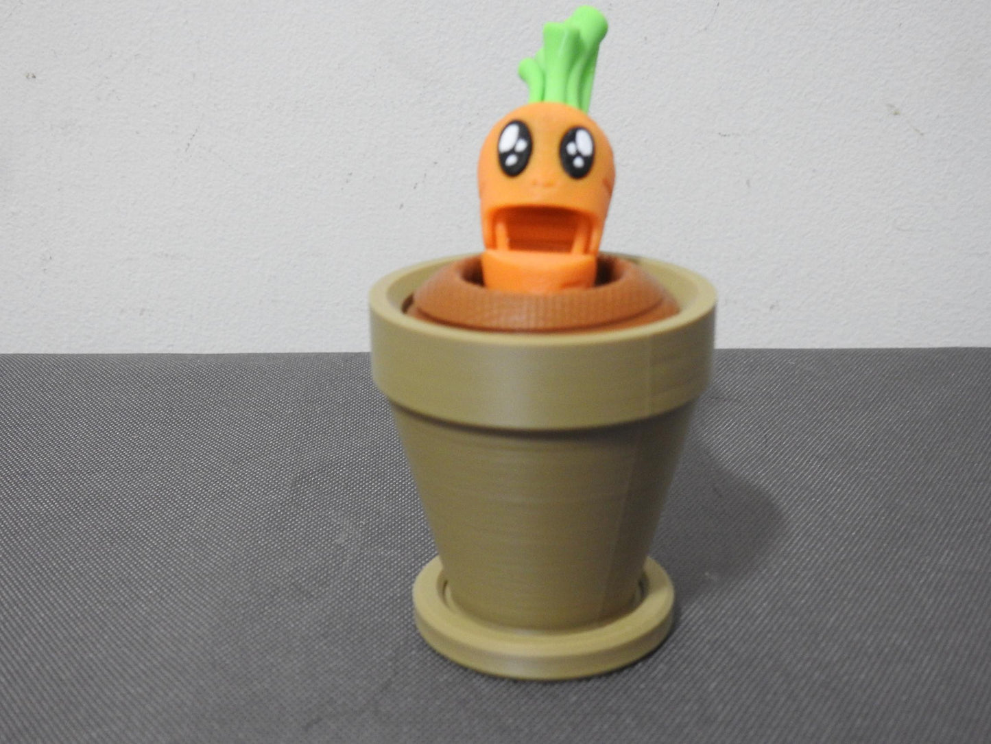 Carrot and Plantpot