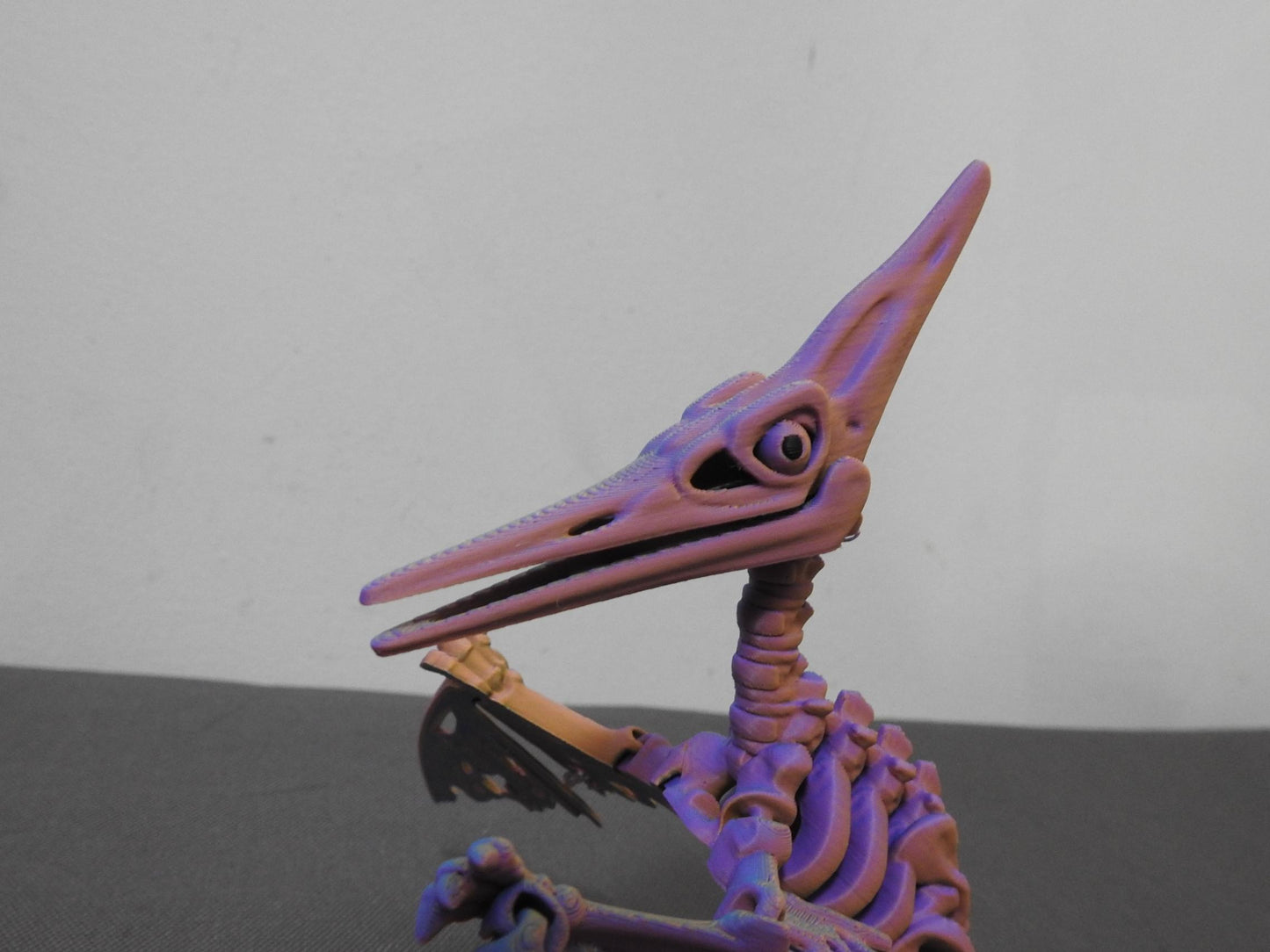 Skeleton Pteranodon Dino