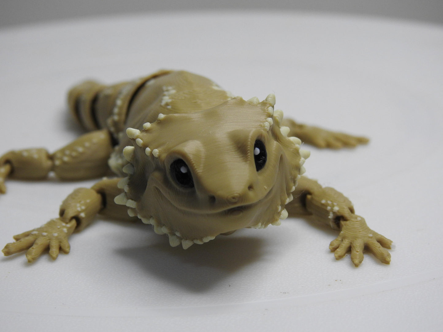 Beardie Dragon