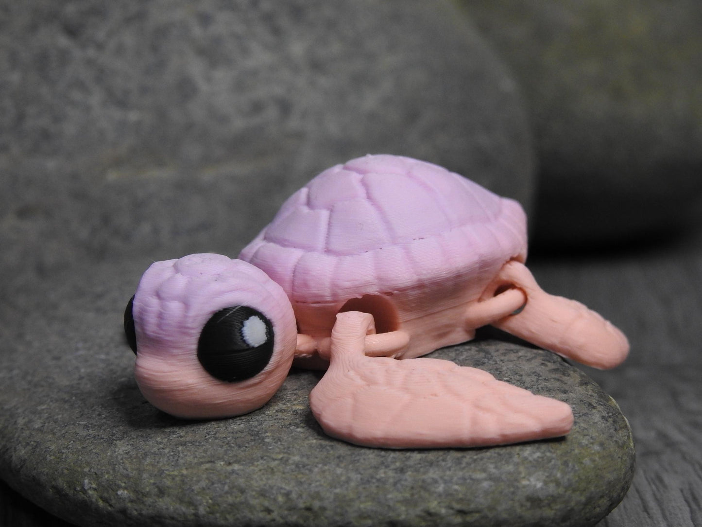 Cute Sea Turtle And Egg