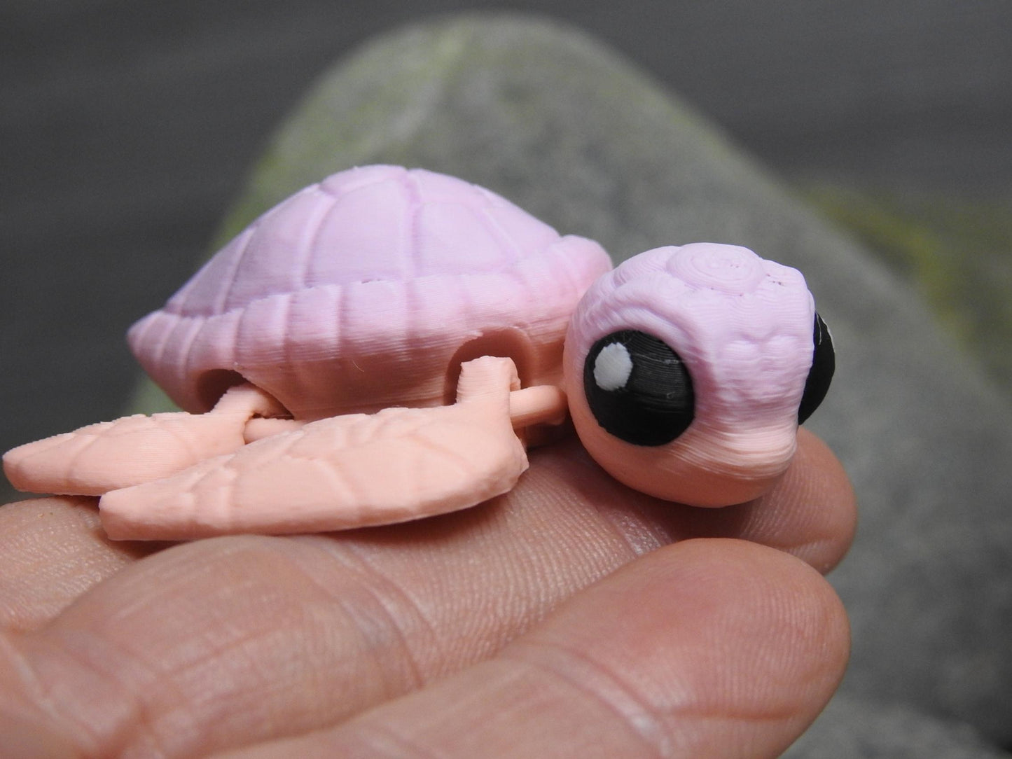 Cute Sea Turtle And Egg