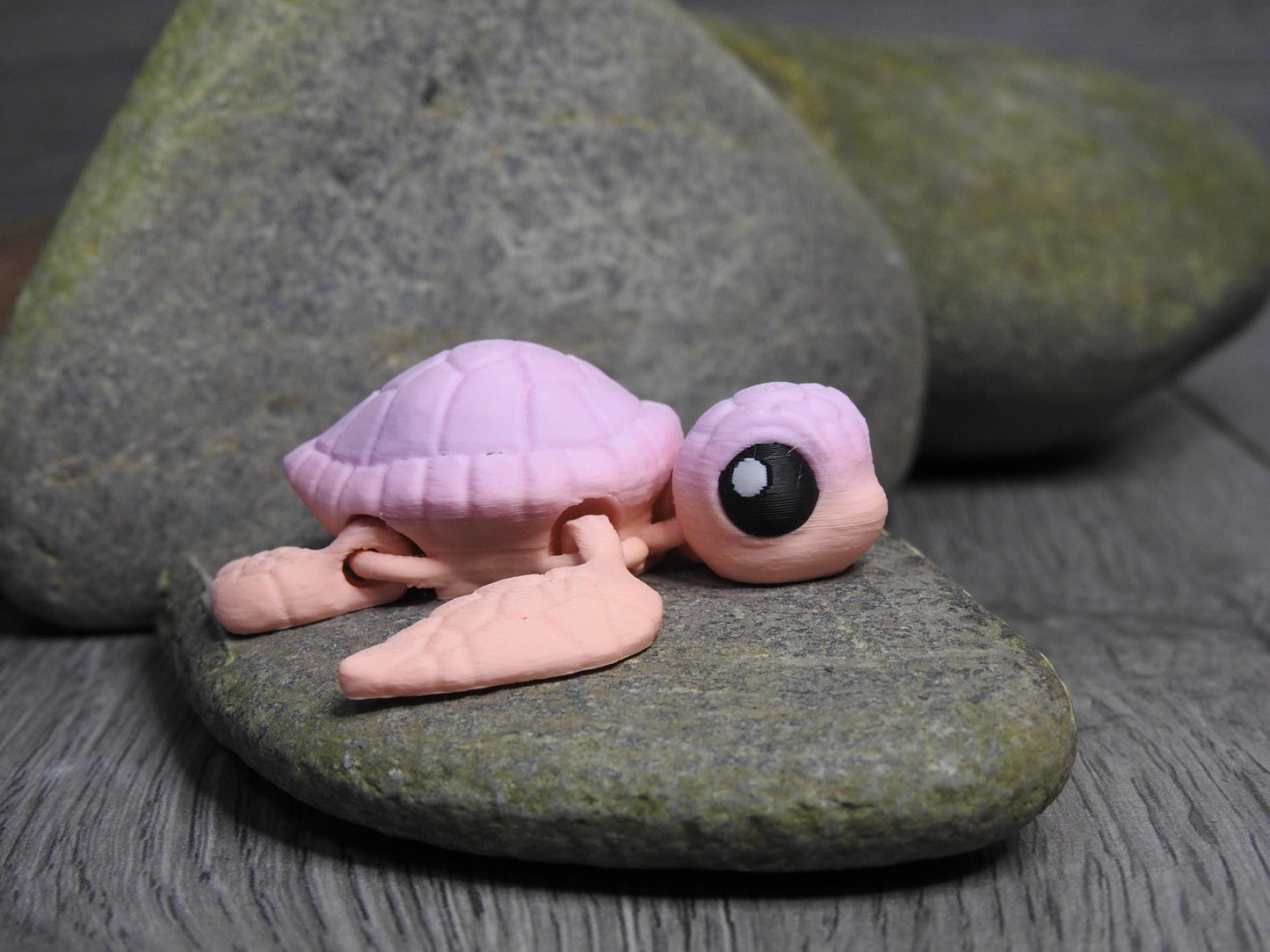 Cute Sea Turtle And Egg