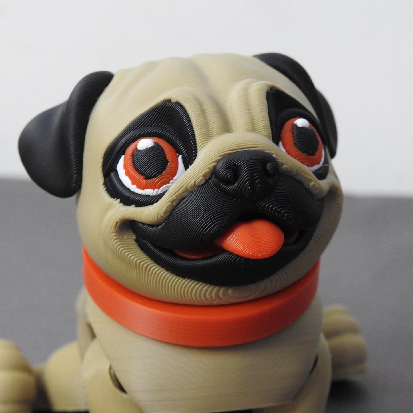 Cute Pug Dog