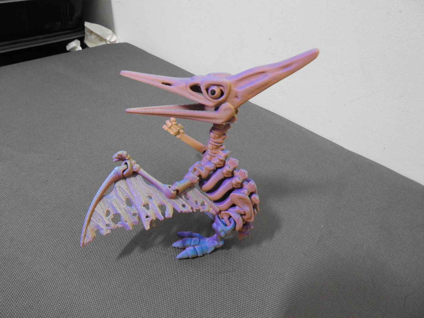 Skeleton Pteranodon Dino