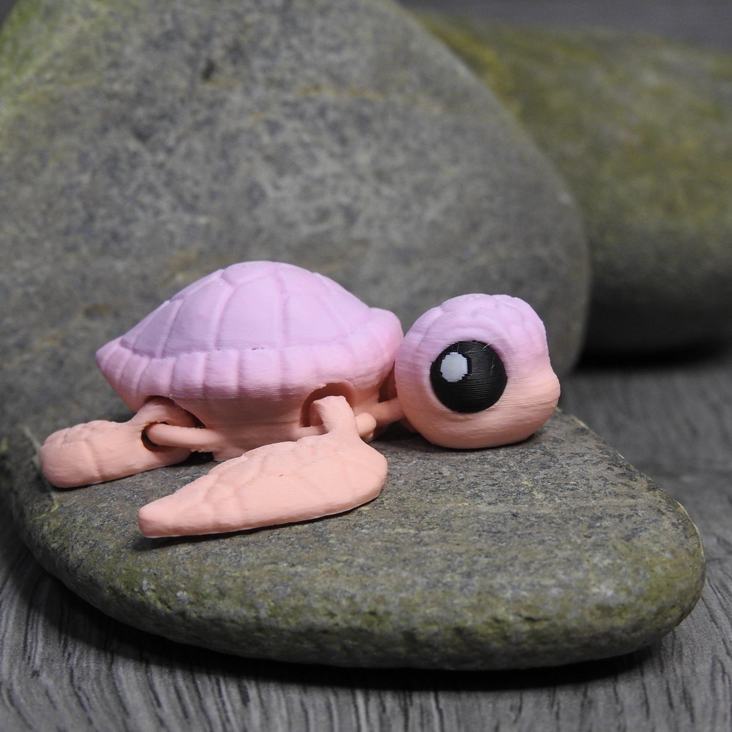 Cute Sea Turtle And Egg