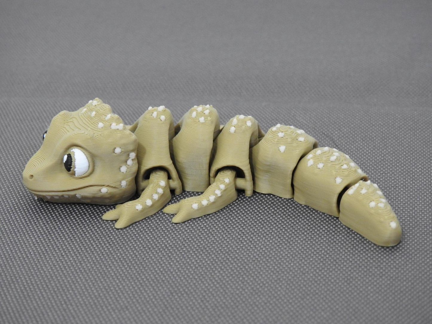 Cute Tiny Bearded Dragon
