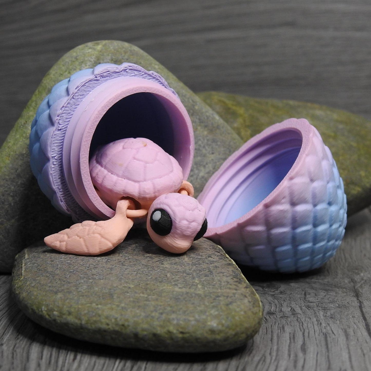 Cute Sea Turtle And Egg