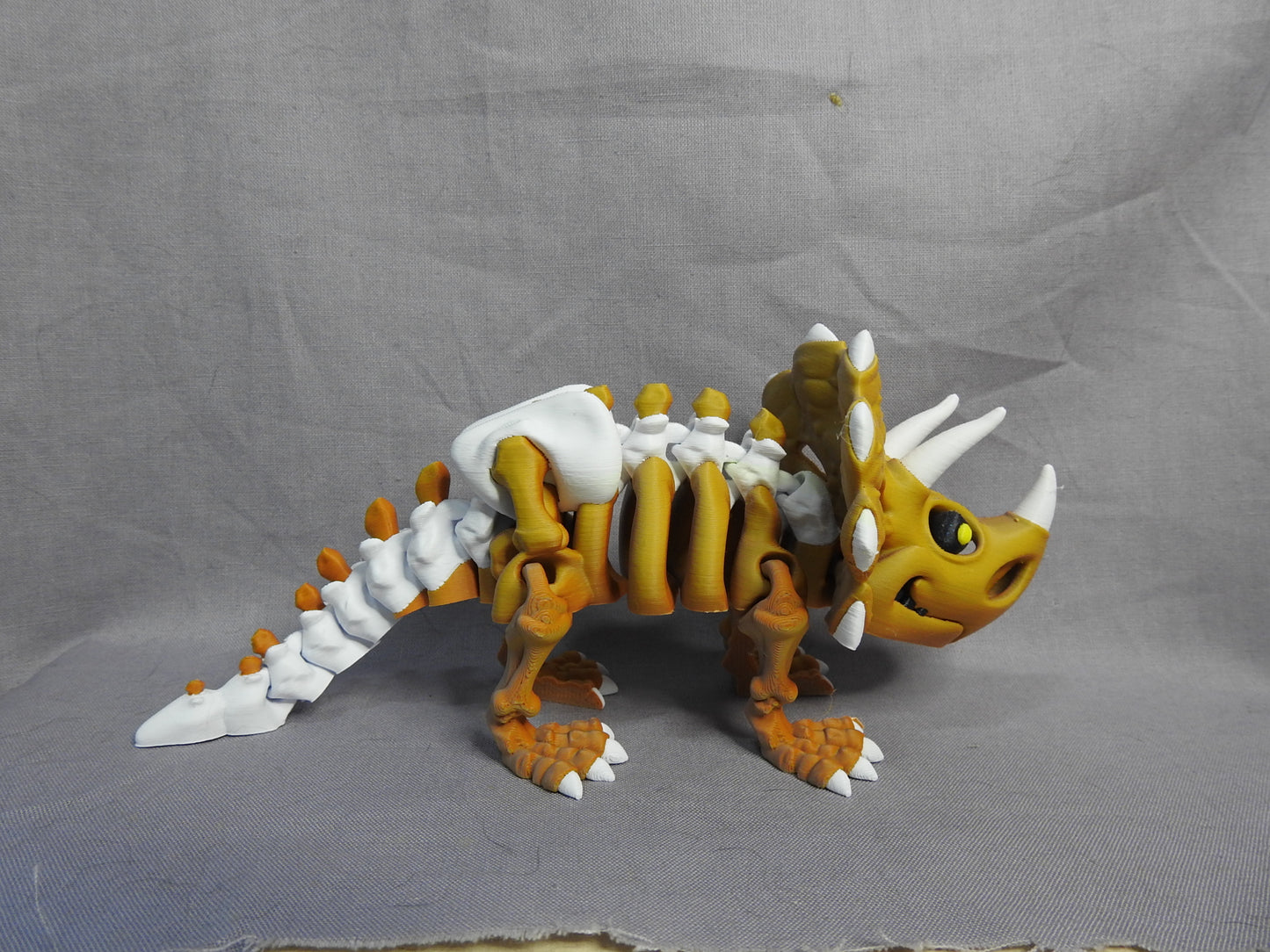 Triceratops Skeleton