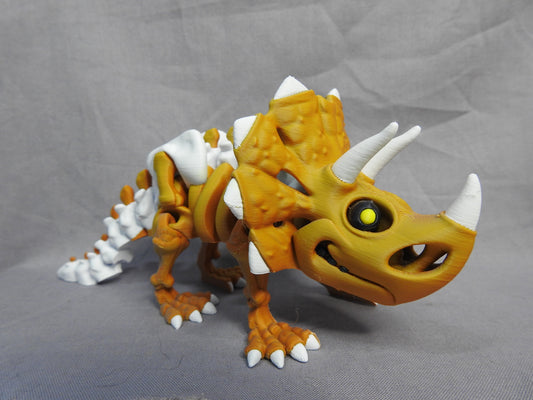 Triceratops Skeleton