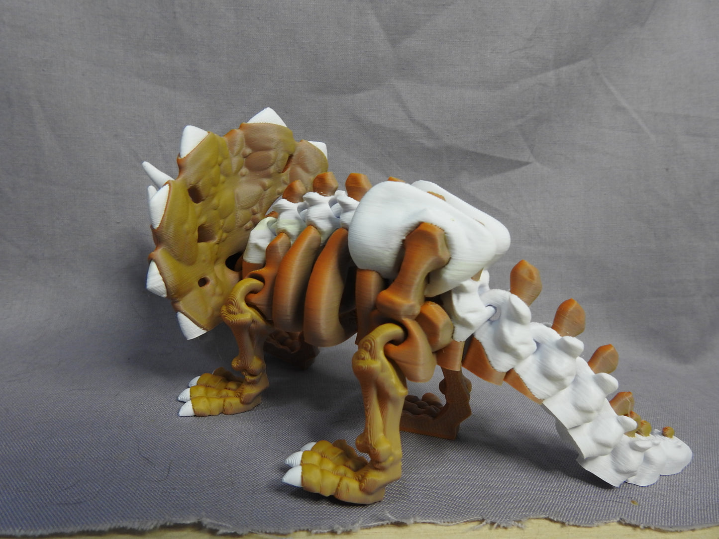 Triceratops Skeleton