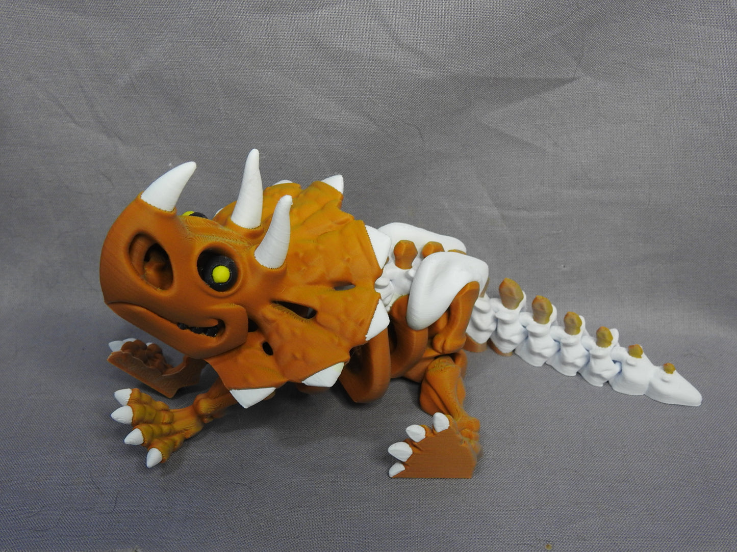 Triceratops Skeleton