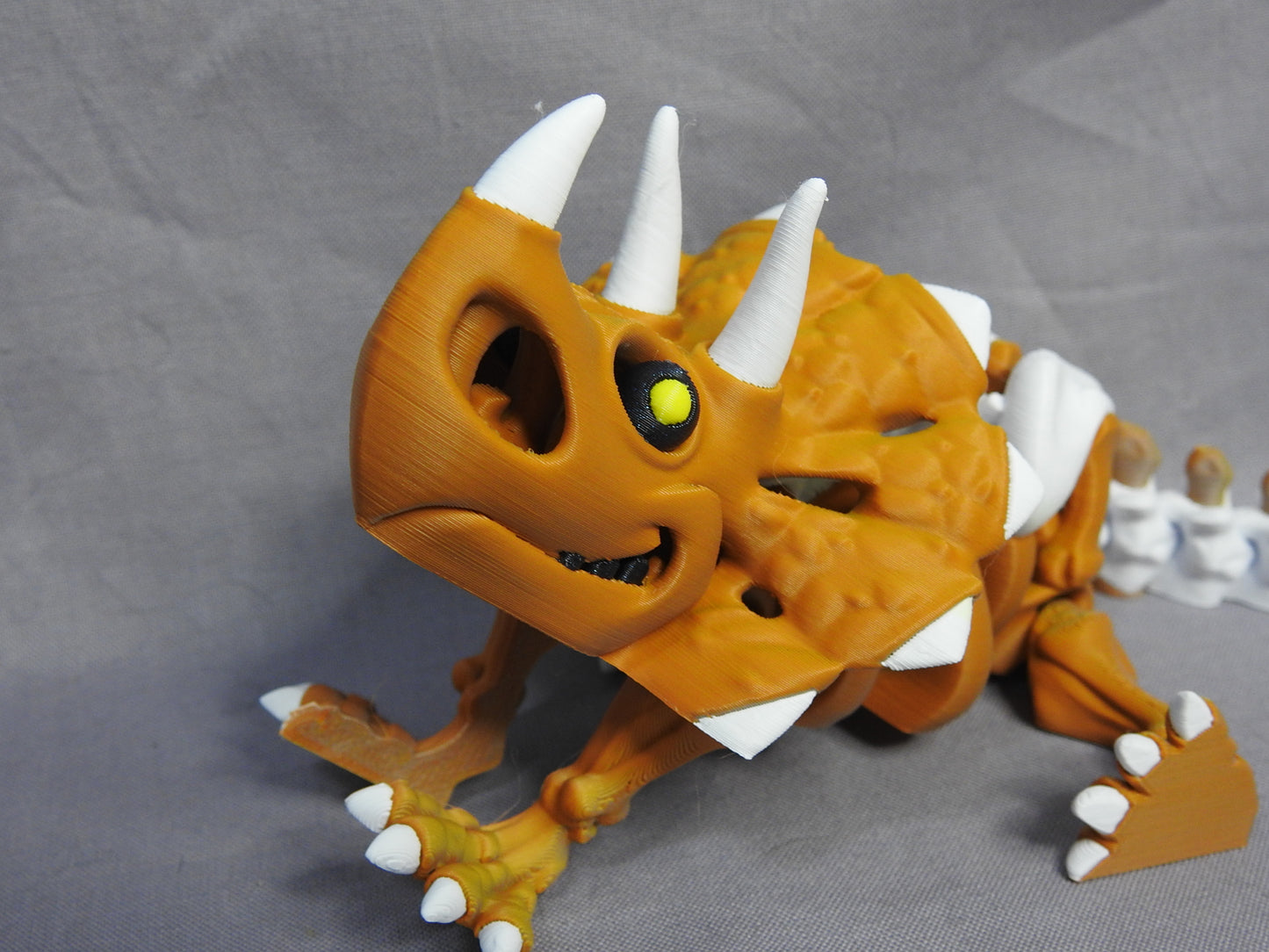Triceratops Skeleton