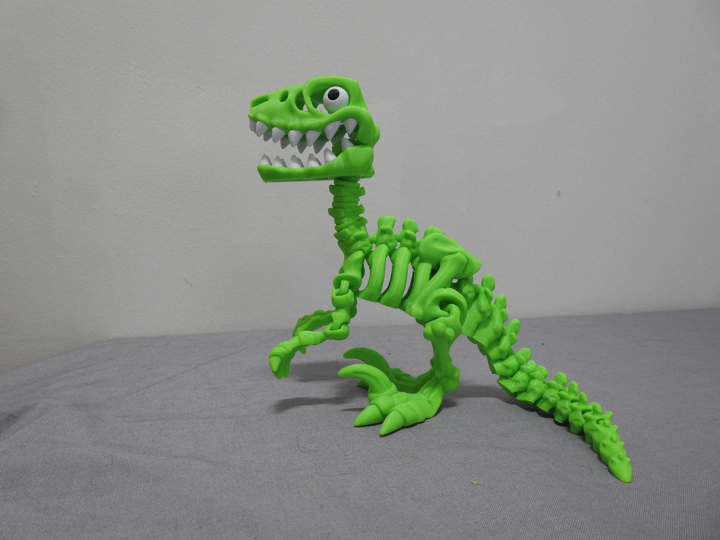 Raptor Skeleton