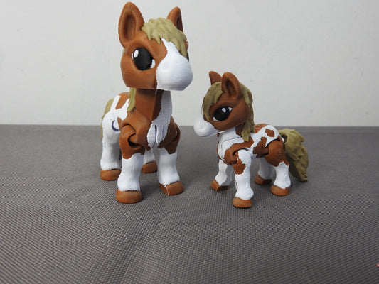 Cute Variety of Horse Breeds