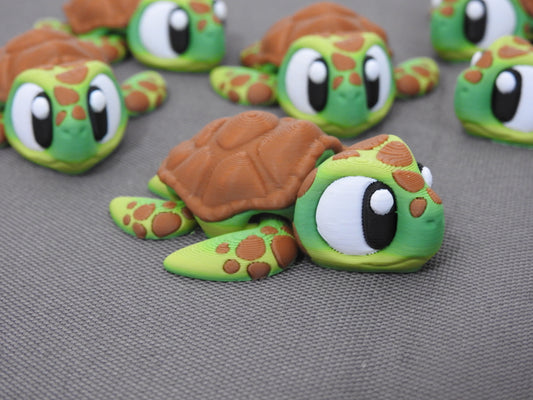 Cute Turtle