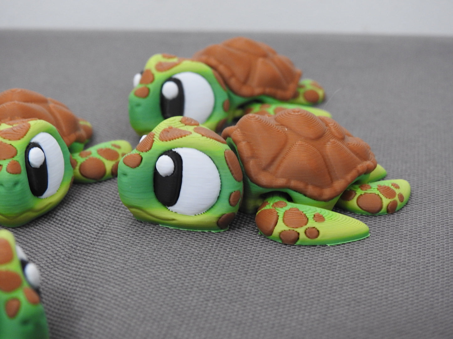 Cute Turtle