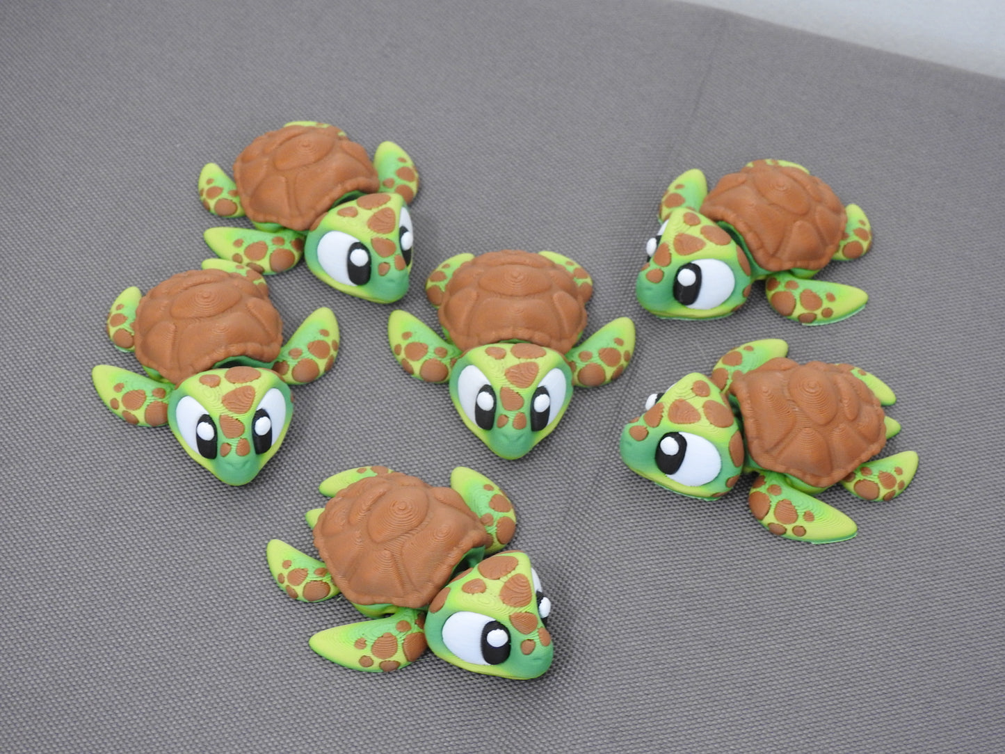 Cute Turtle