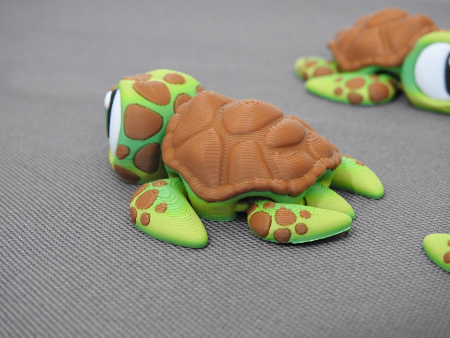 Cute Turtle
