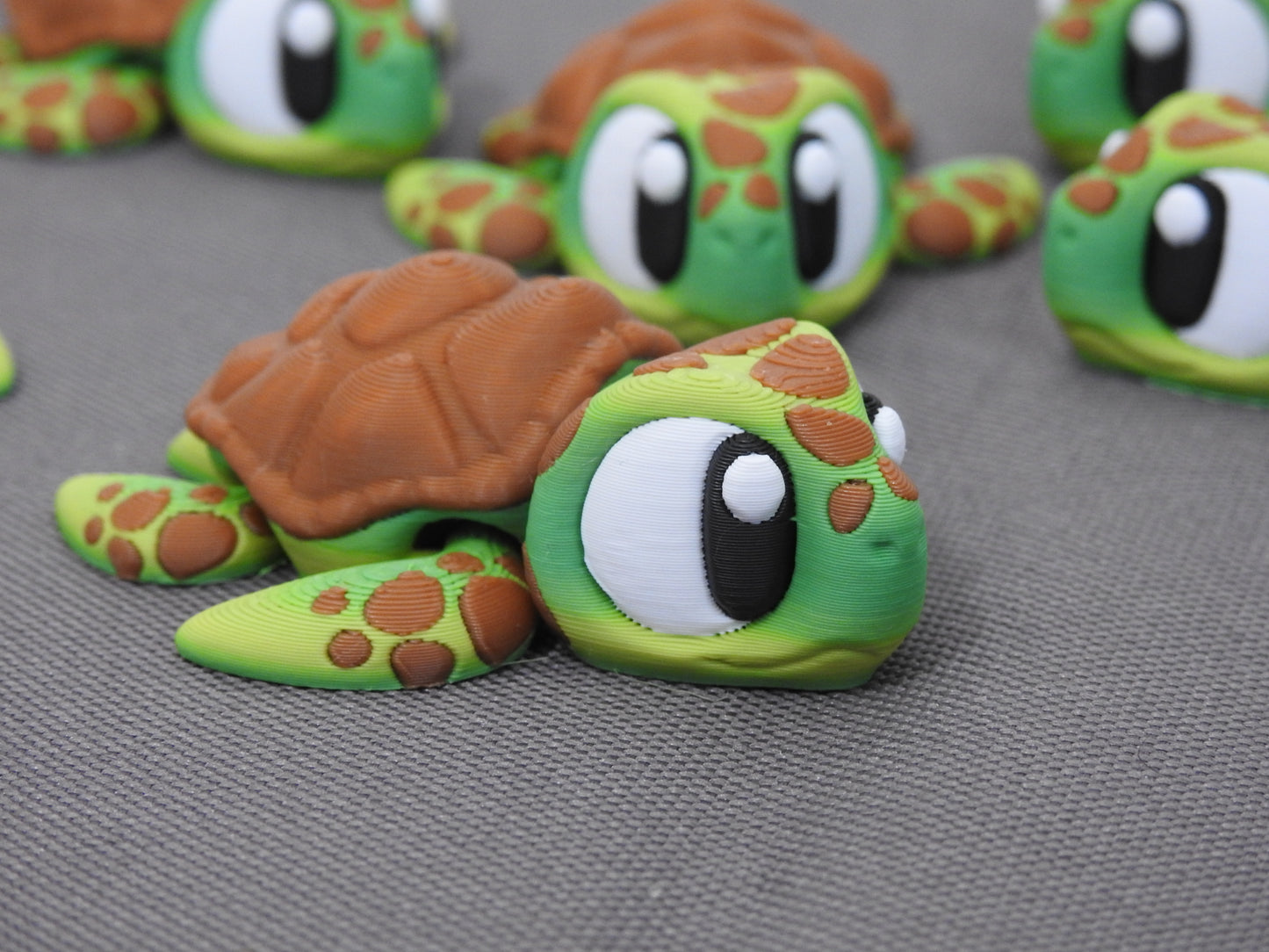Cute Turtle
