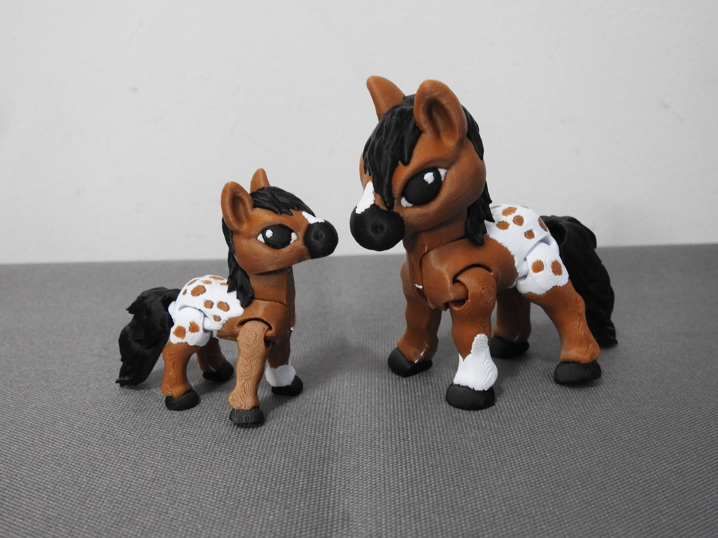 Cute Variety of Horse Breeds