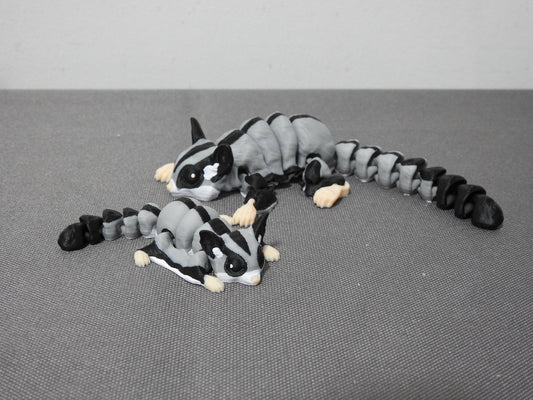 Adorable Sugar Gliders