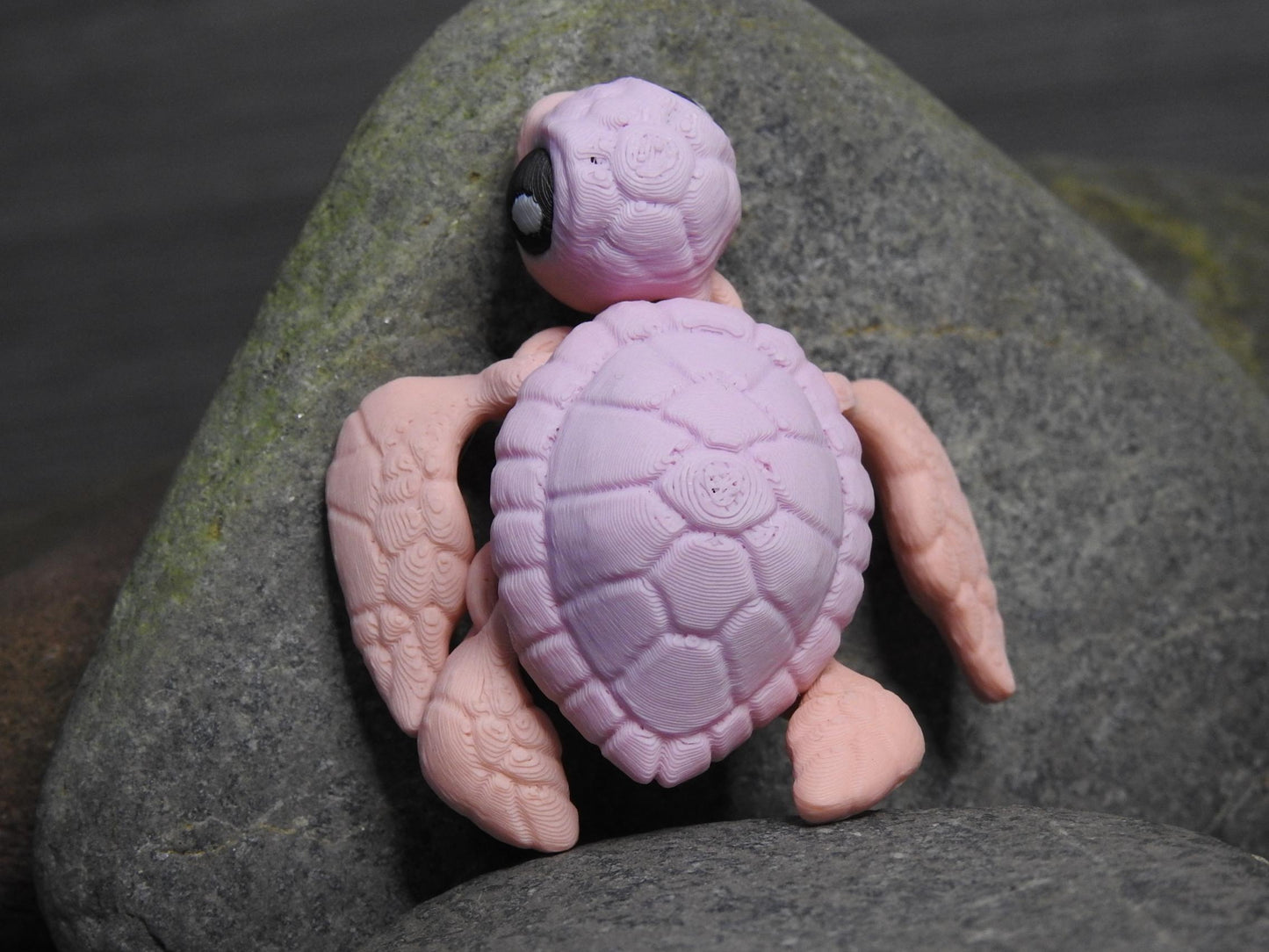 Cute Sea Turtle And Egg