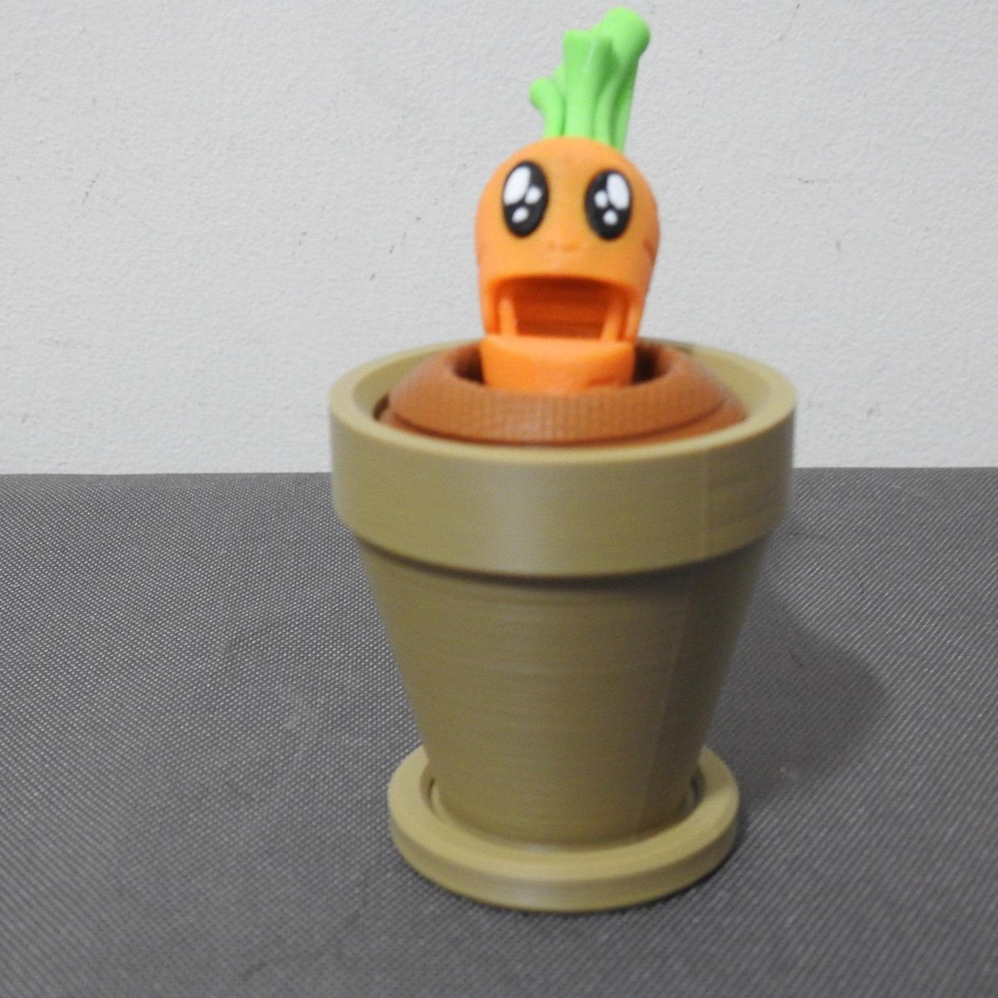 Carrot and Plantpot