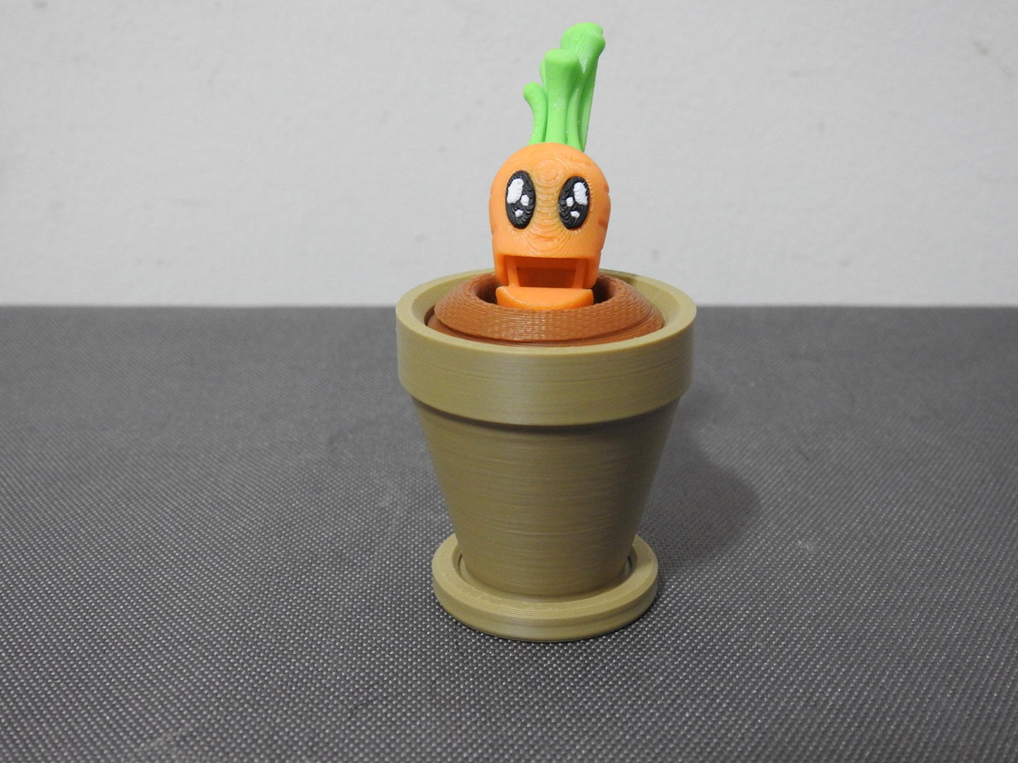 Carrot and Plantpot