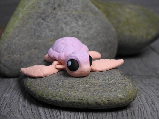 Cute Sea Turtle And Egg