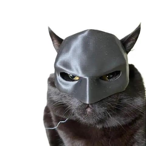 Batman Cat Mask