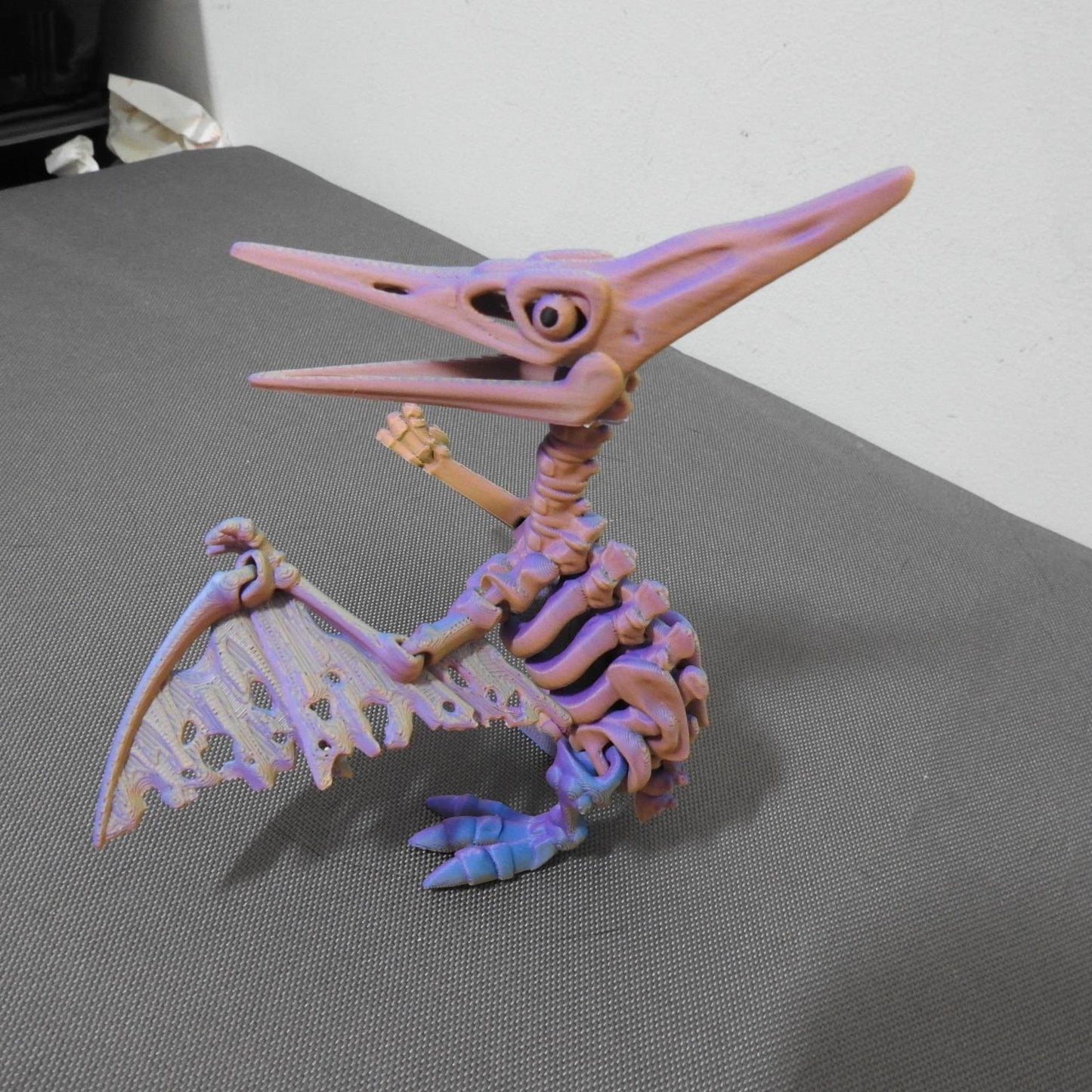 Skeleton Pteranodon Dino