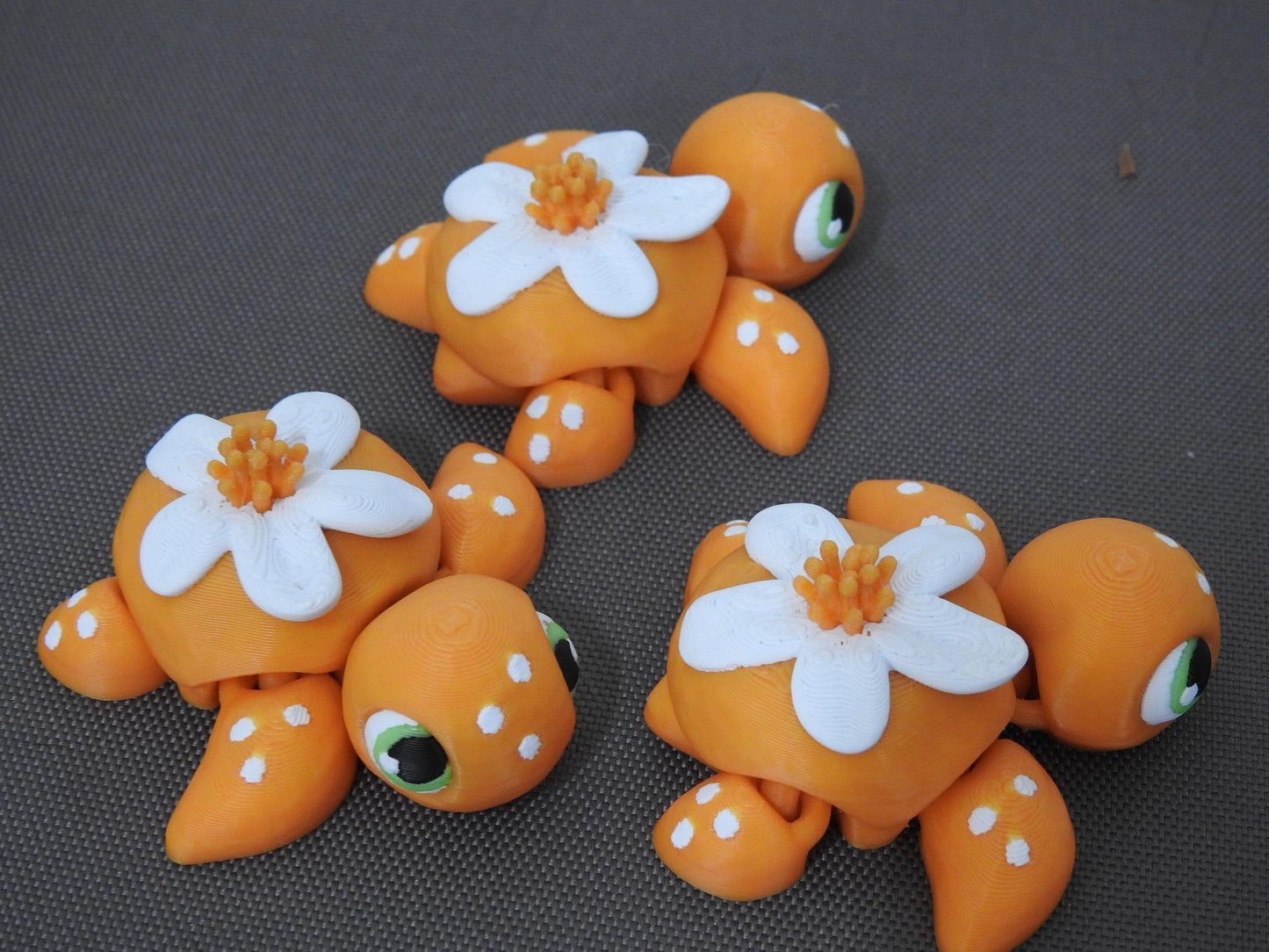Baby Orange Blossom turtle