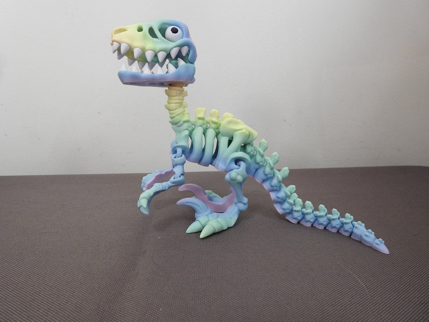 Skeletons Dinosaurs