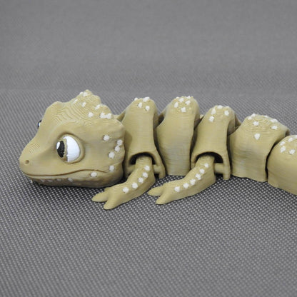 Cute Tiny Bearded Dragon