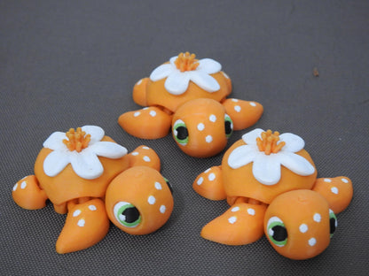 Baby Orange Blossom turtle