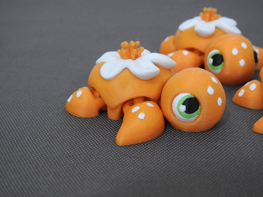 Baby Orange Blossom turtle