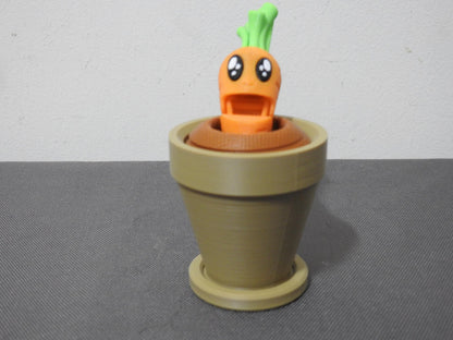Carrot and Plantpot