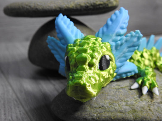 Baby Axolotl Dragon
