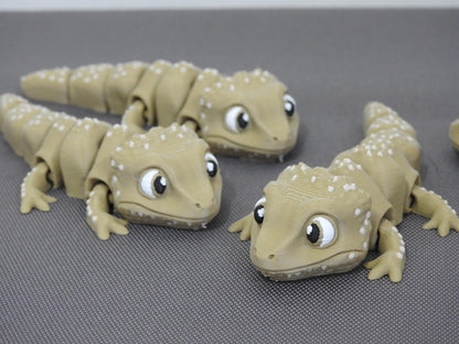 Cute Tiny Bearded Dragon