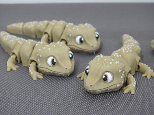 Cute Tiny Bearded Dragon